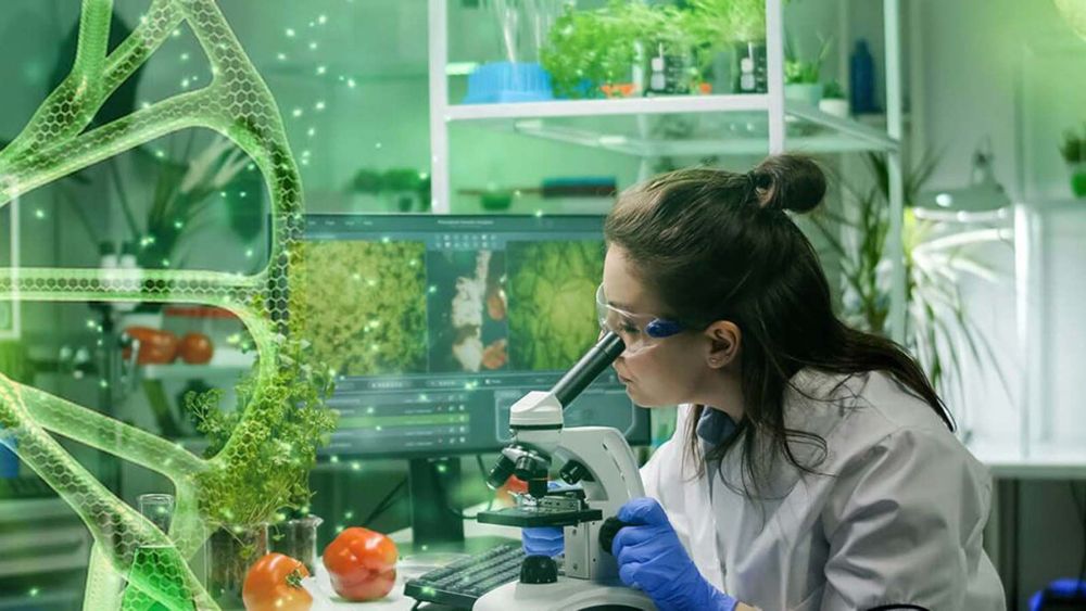 Apa itu Bioteknologi dan Bagaimana Sejarahnya