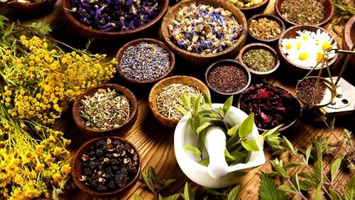 WHO Resmi Tambahkan Pengobatan Tradisional ke ICD 11